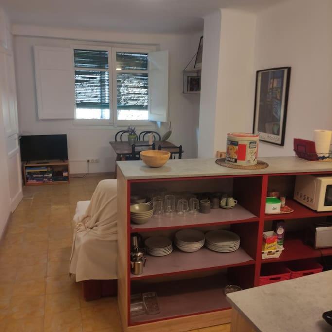 Casa Rius Lejlighed Salas de Pallas Eksteriør billede